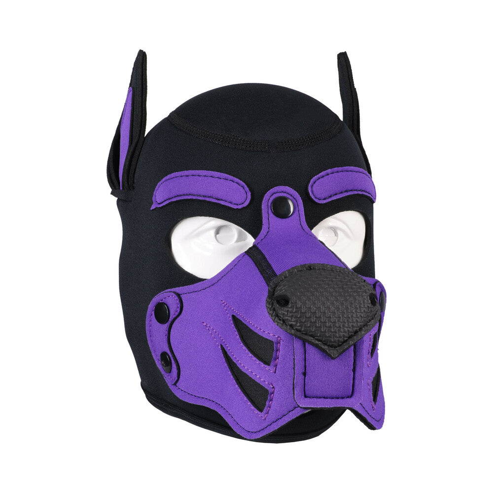 Merci Puppy Hood Neoprene Violet/Black - Image 2