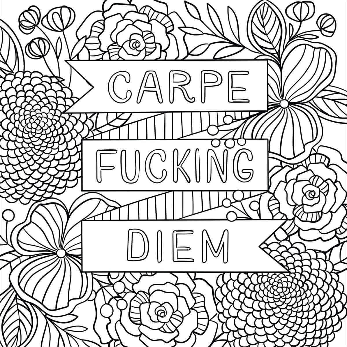 Inner Fucking Peace Coloring Book design featuring the phrase 'Carpe Fucking Diem' surrounded by flowers.