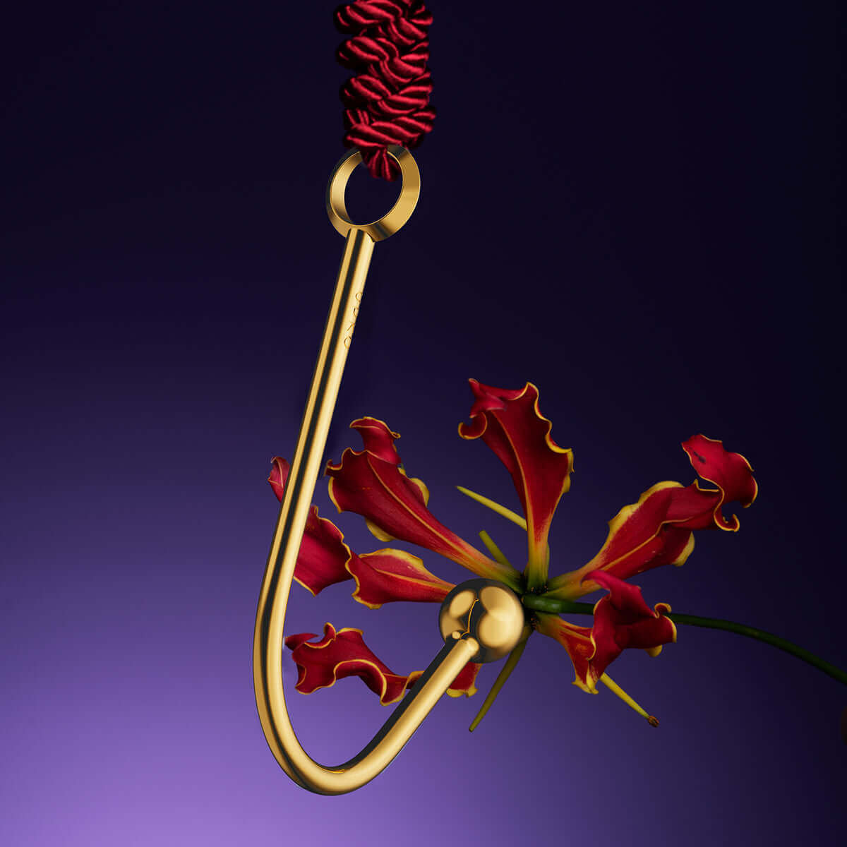 UPKO UPKO Vaginal/Anal Hook at $39.99