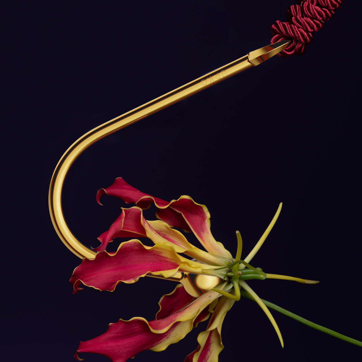 UPKO UPKO Vaginal/Anal Hook at $39.99