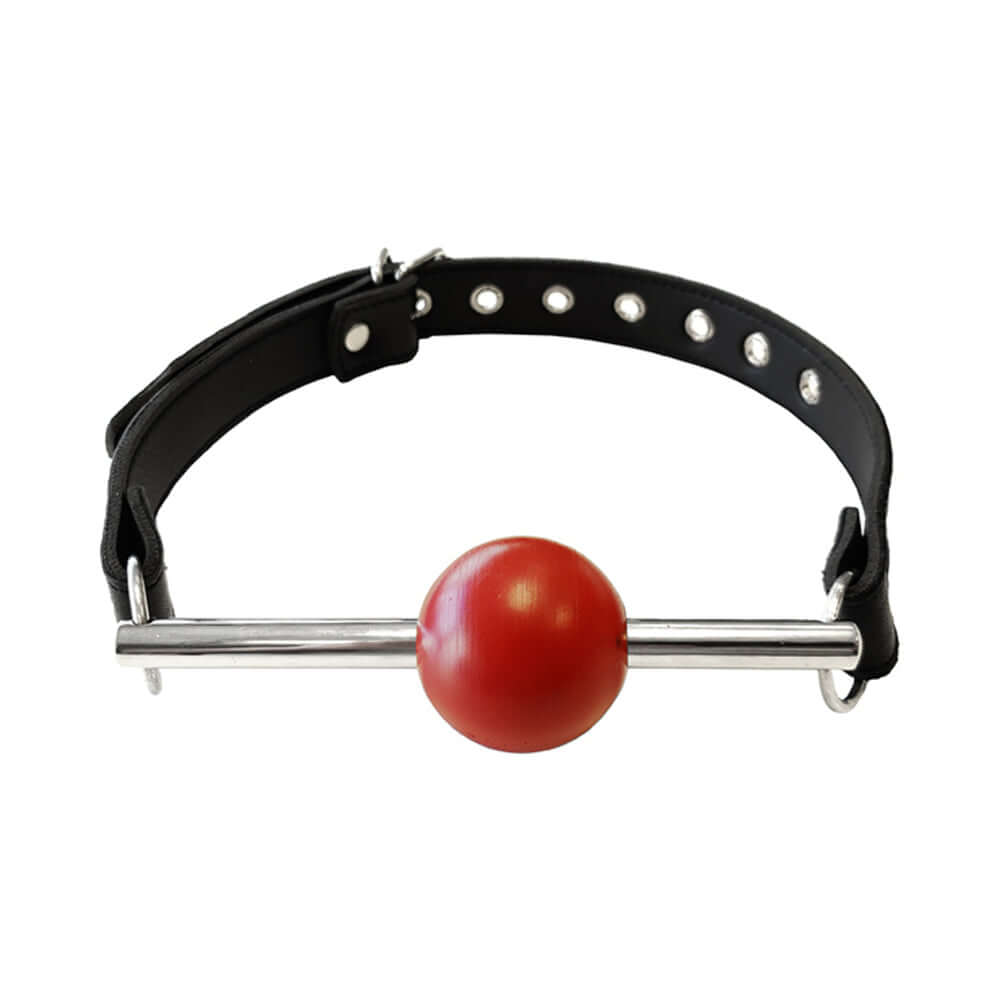 Rouge Leather Ball Gag with Removable Ball & Stainless Steel Rod on a black leather strap.