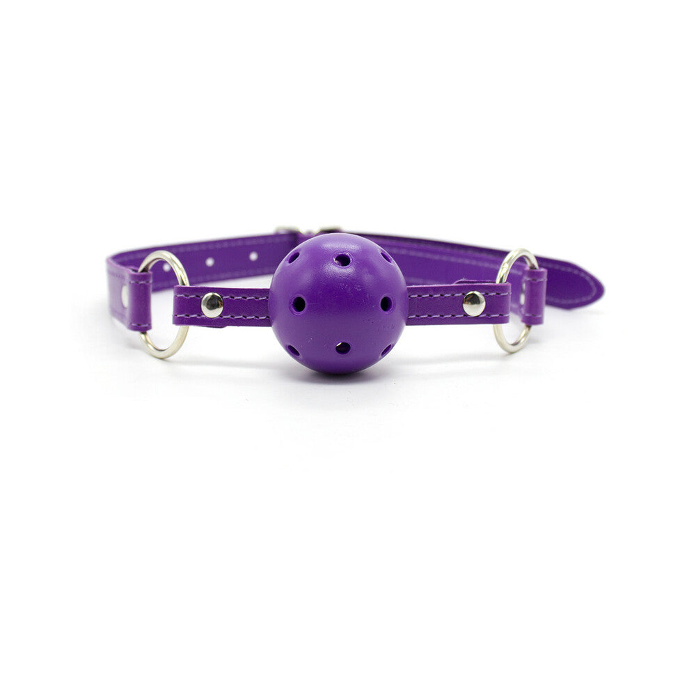 Ple'sur 12-Piece Everything Bondage Kit Purple
