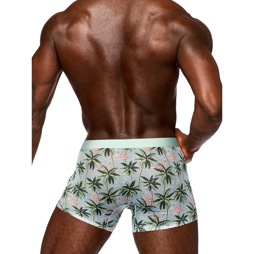 Male Power Sheer Prints Seamless Sheer Short Flamingo Medium on a model showcasing the back view with palm print design.