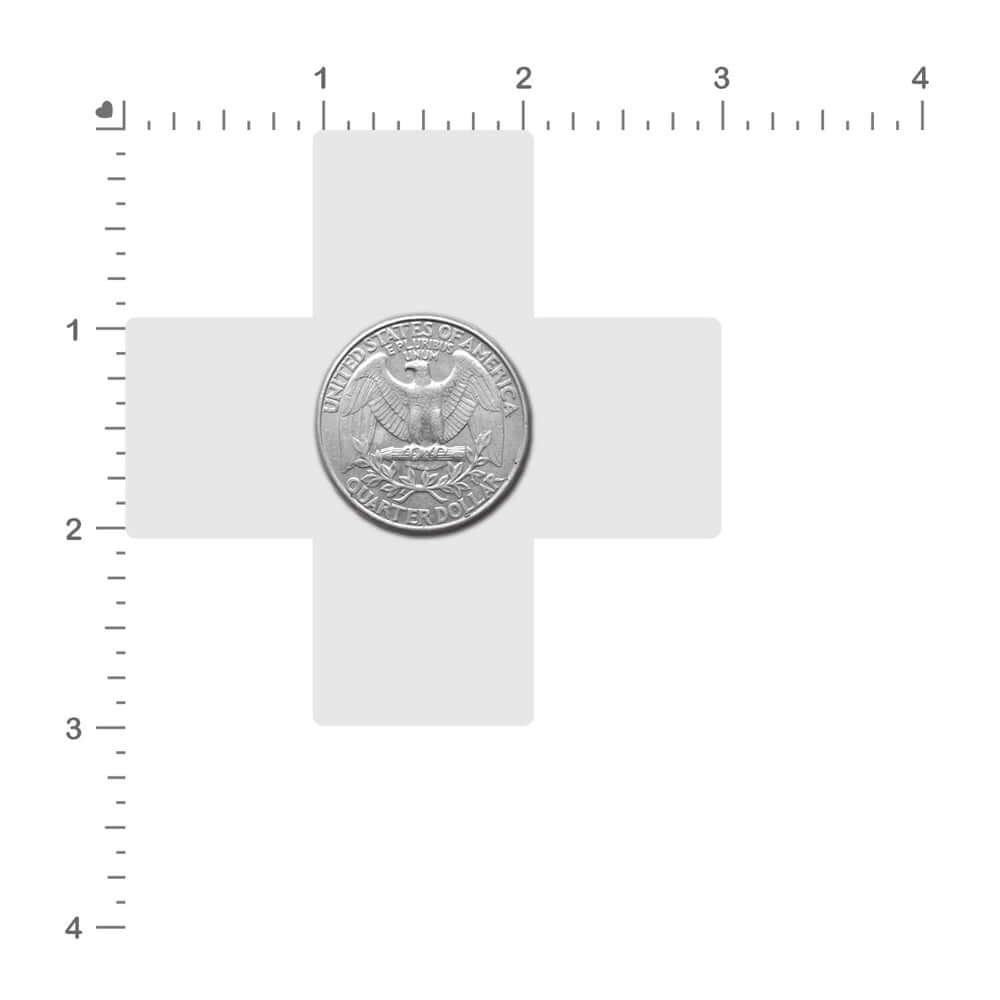Silver United States coin with eagle design and inscriptions on a white cross background.