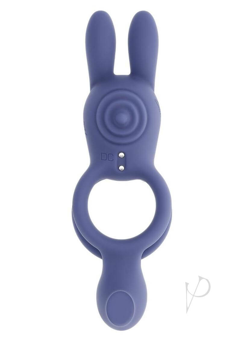 Zero Tolerance Naughty Bunny Vibrating Cock Ring Purple with playful bunny ears and textured nub for couples' pleasure.