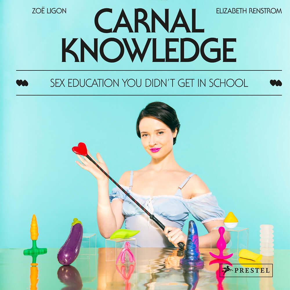 Carnal Knowledge: Sex Education You Didn't Get In School