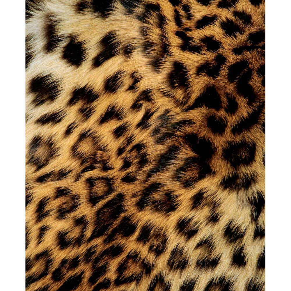 69 Shades of Cosmo: The Kinky Sex Games Edition