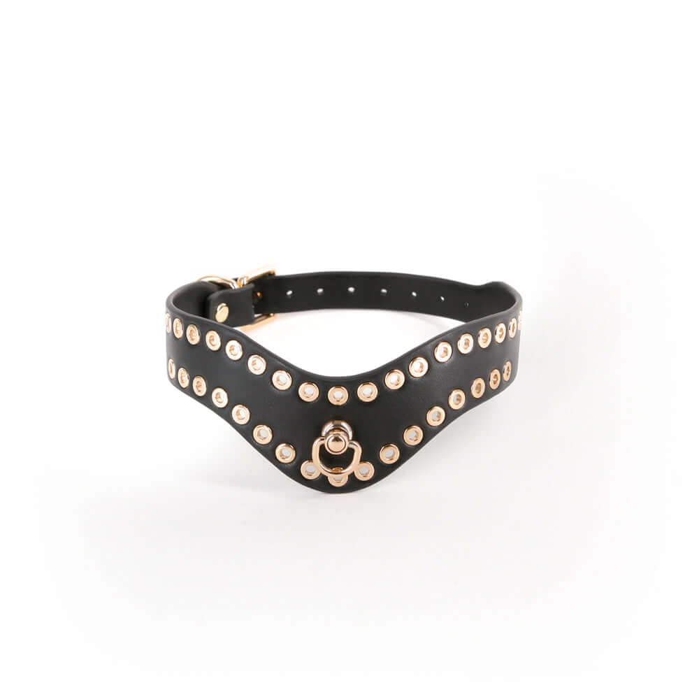 Hustler Taboo Kali Collar Black