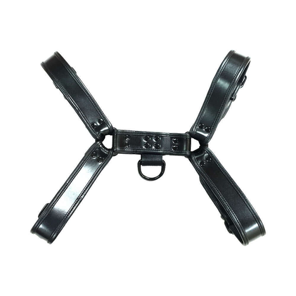 Rouge Leather OTH Harness Black with Black Accessories Large