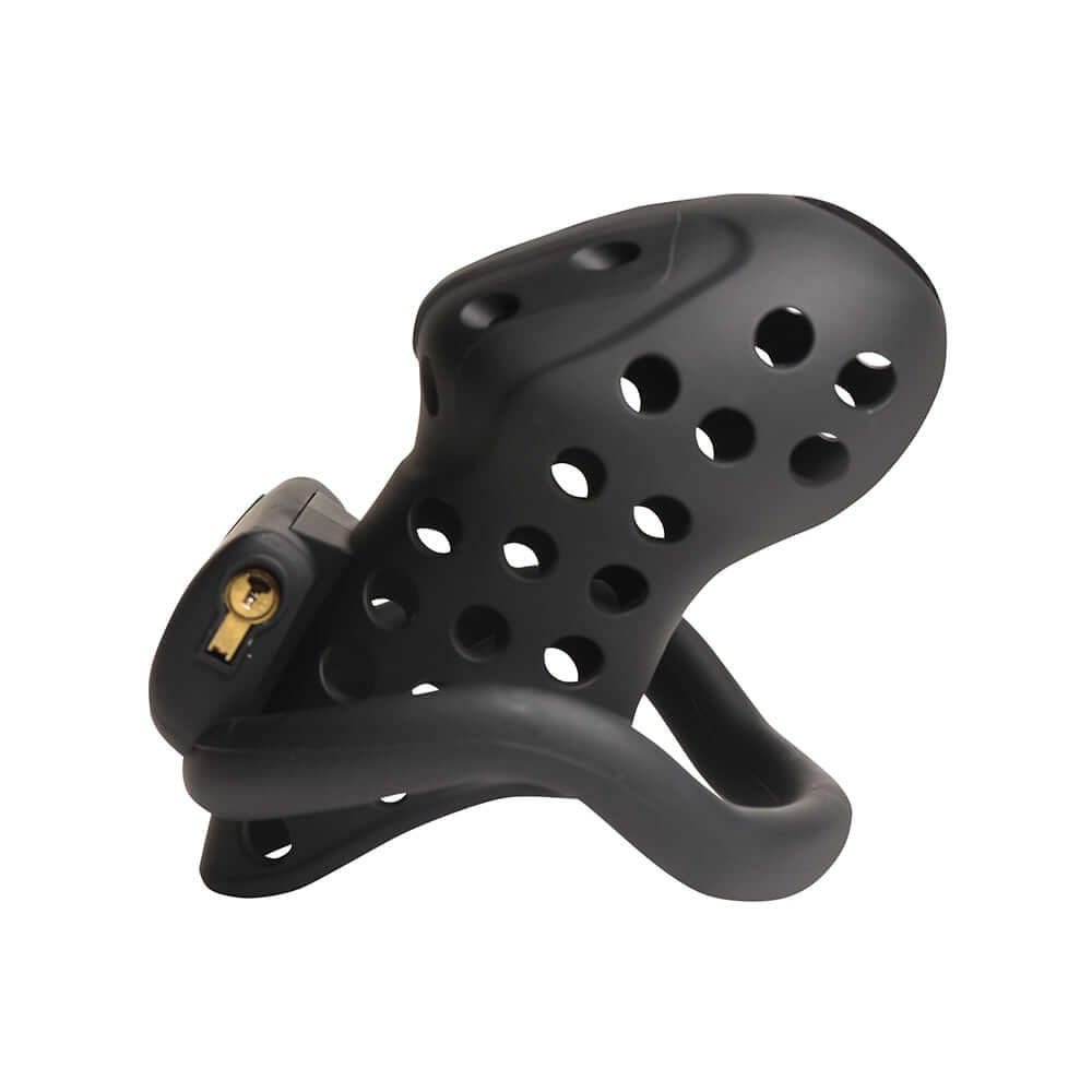 Master Series Lock Down Chastity Cage