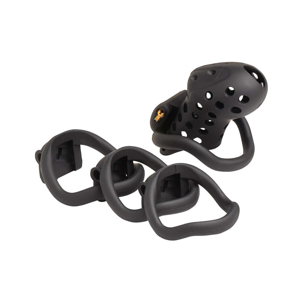 Master Series Lock Down Chastity Cage