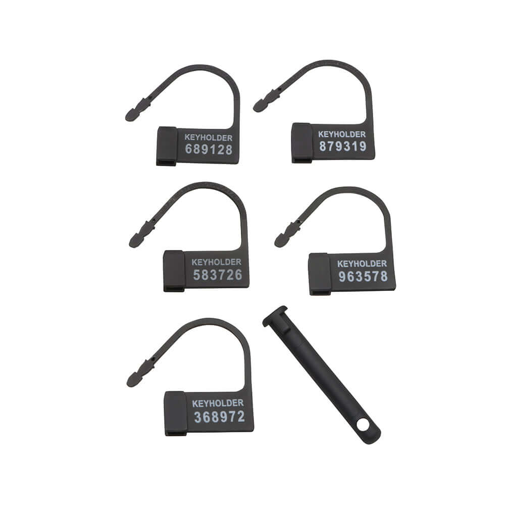 Master Series Lock Down Chastity Cage