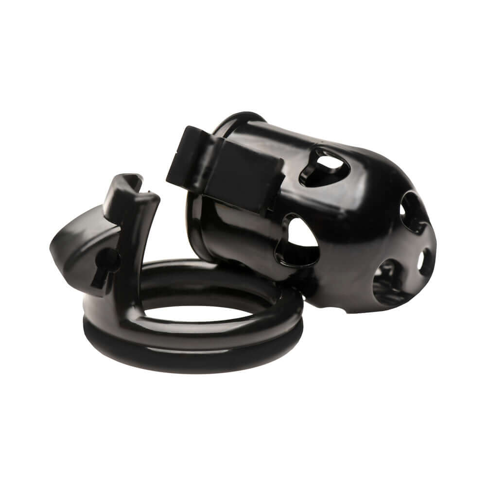 Master Series Double Ring Chastity Cage