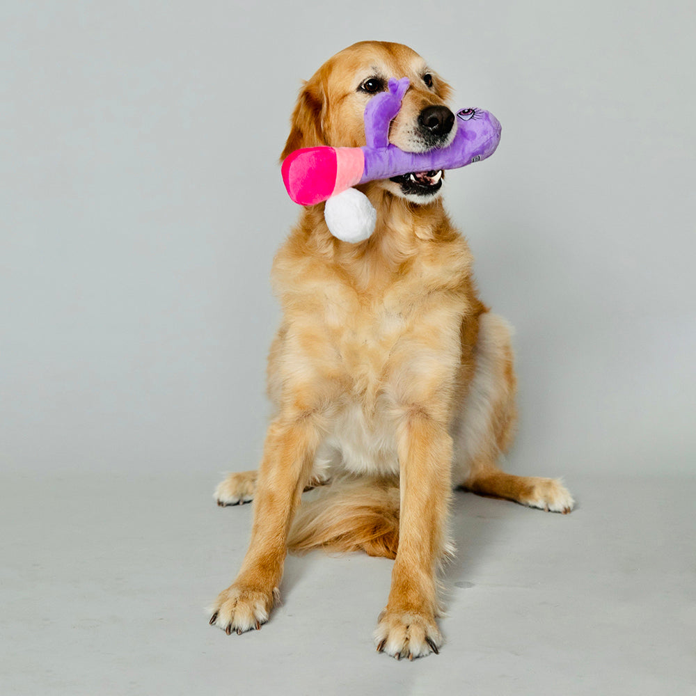 Scruffy Bunny Vanderpup