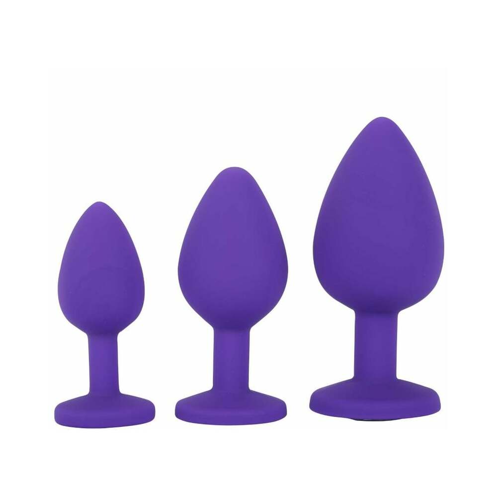 Me You Us Trio of Jewels 3-Piece Training Plug Set Purple