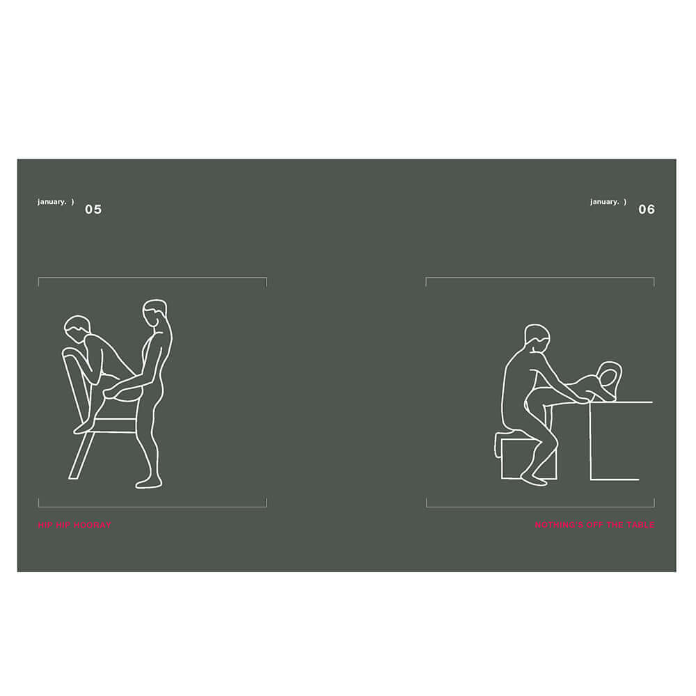 Illustration for Position of the Day Revised and Updated Sex Every Day in Every Way featuring two intimate positions.