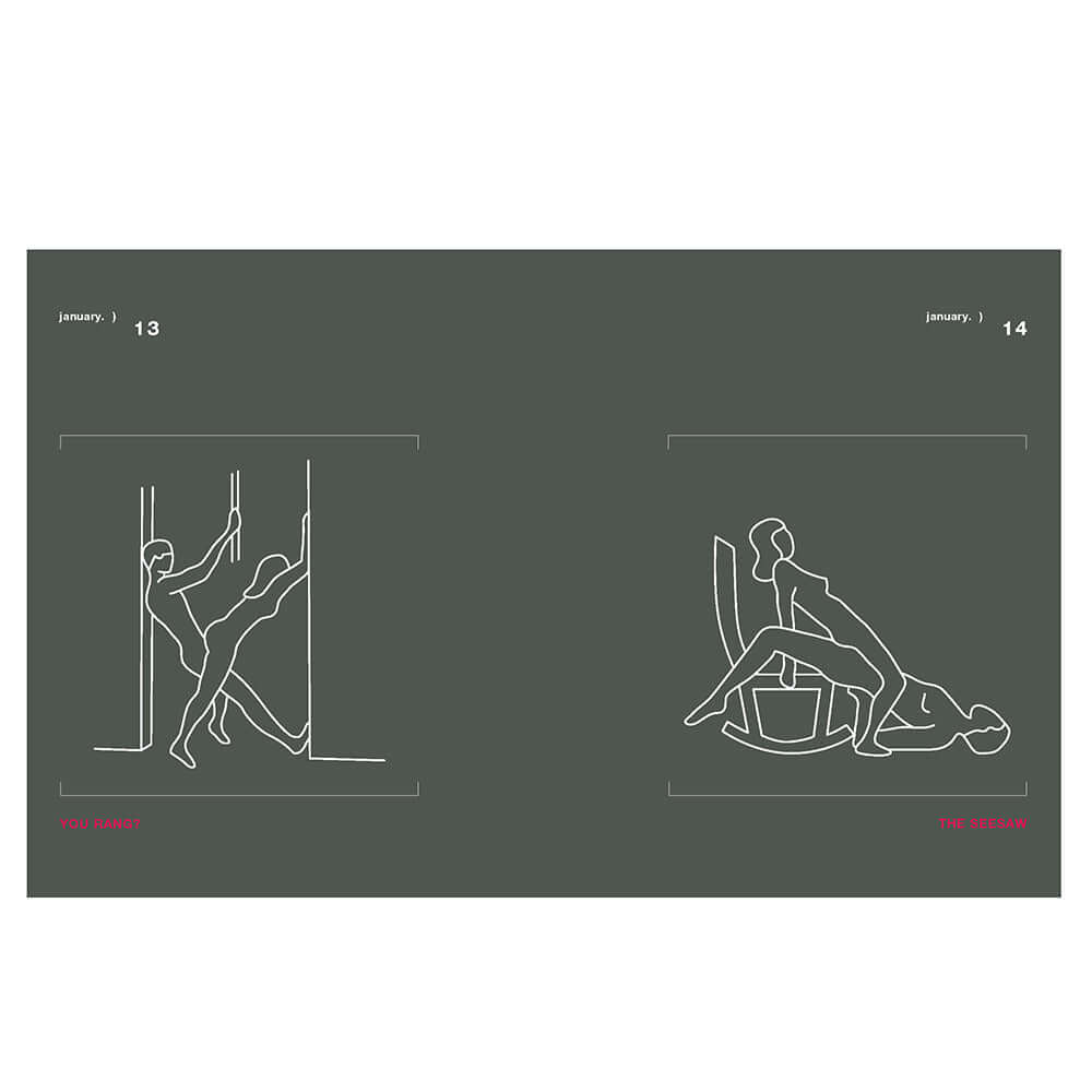 Illustration from Position of the Day Revised and Updated Sex Every Day in Every Way showing two sex positions.
