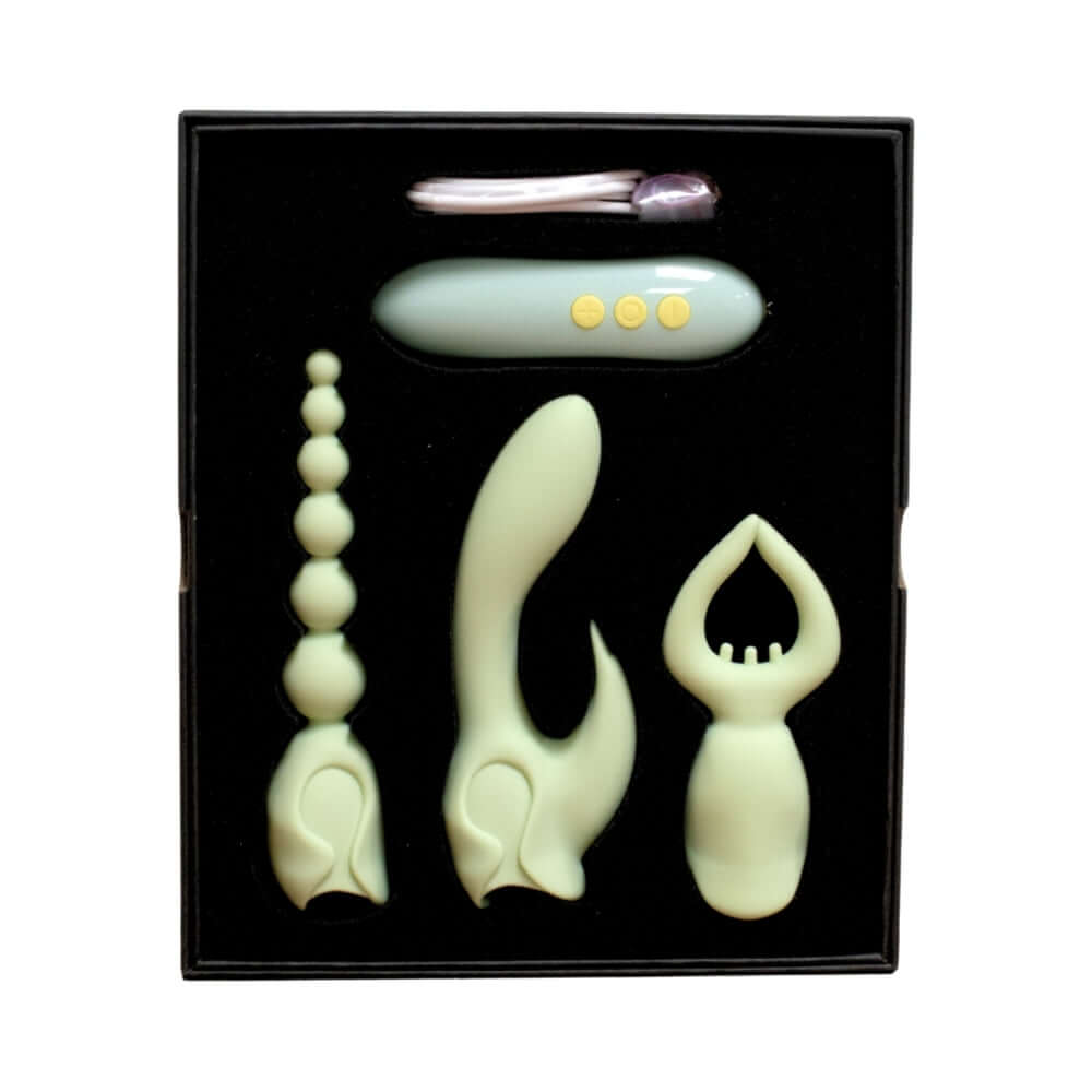 Pleasure Hunter Multifunction Vibrator set featuring four silicone attachments for varied stimulation.