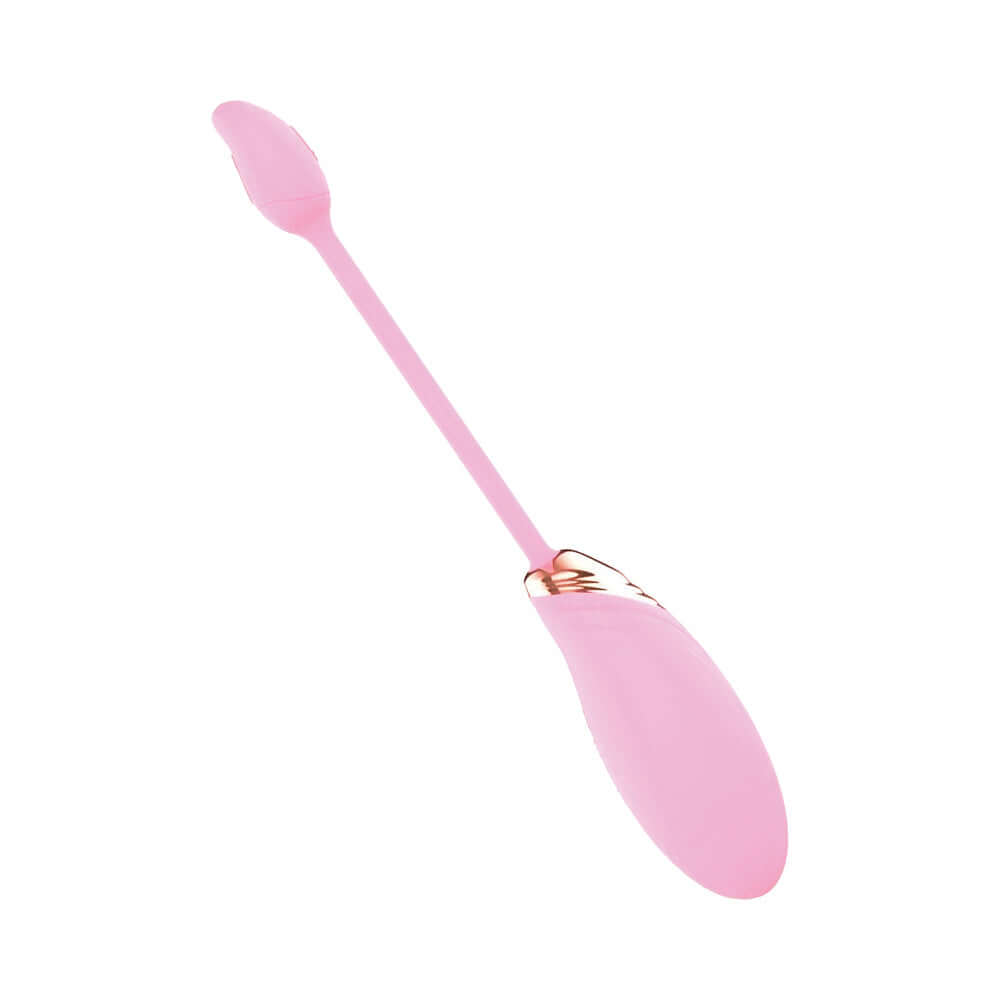 Blaze Dual Massager Kit Pink, featuring a sleek pink design for versatile pleasure and exploration.
