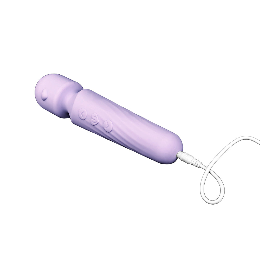 Adam and Eve Lilac Love Wand Massager with silky silicone design and USB rechargeable feature.