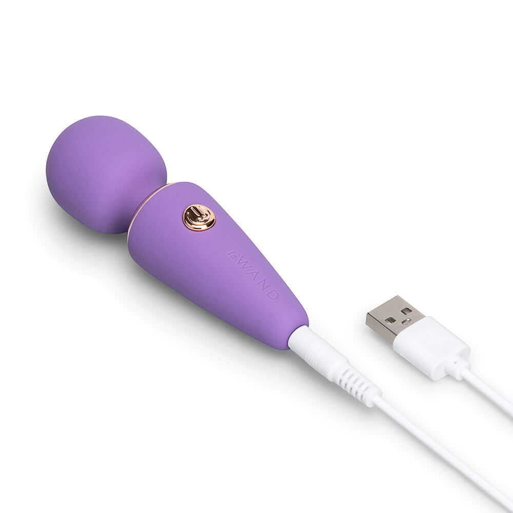 Le Wand Mini Micro Wand Massager Violet with USB charging cable and smooth purple silicone head.