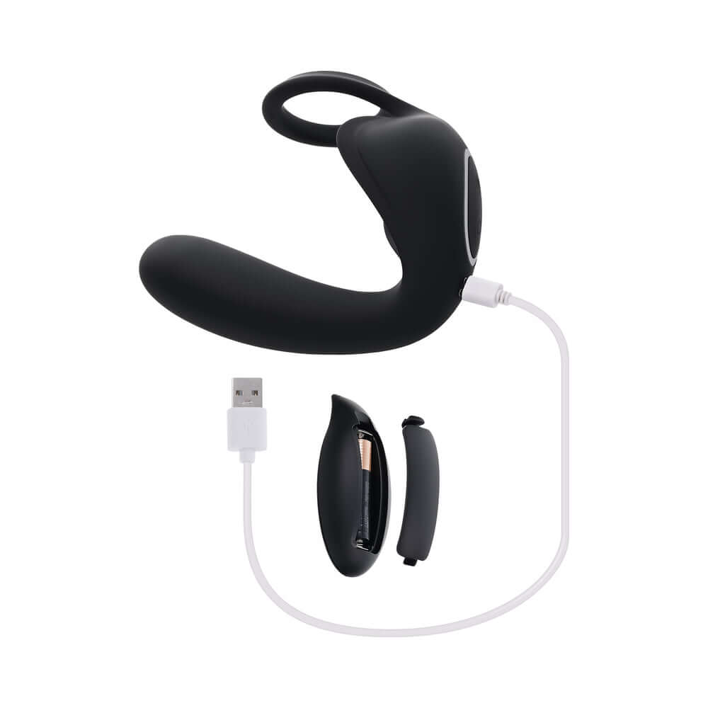 Zero Tolerance Ballin Out Black prostate massager with flexible wings and USB charging cable.