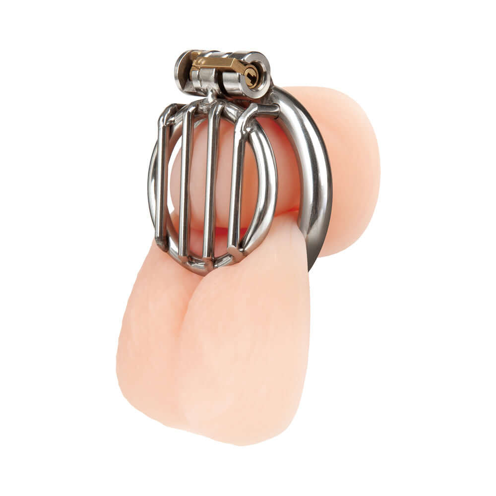 Blue Line Stainless Steel Inverted Micro Jail Time Chastity Cage displayed with realistic insert.