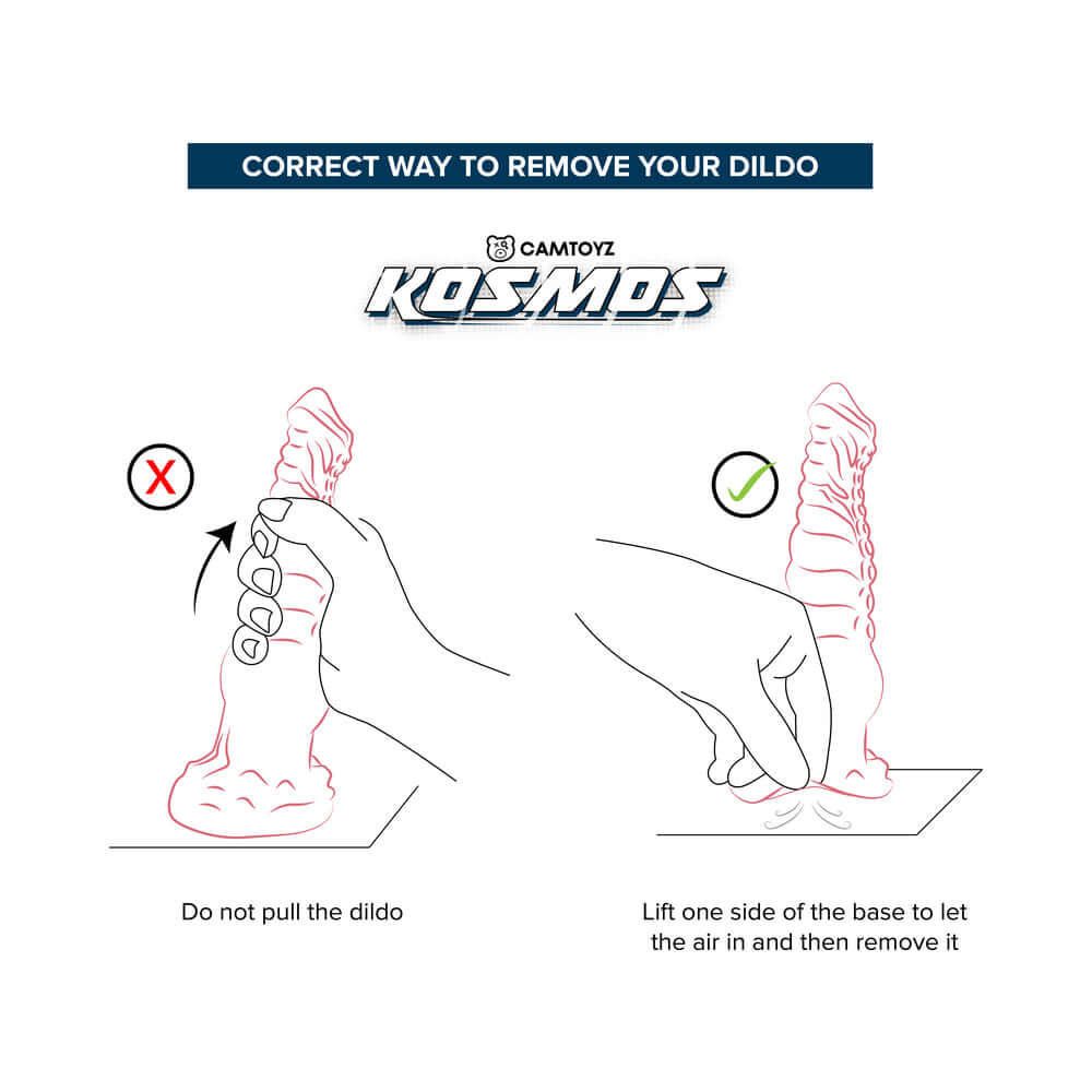 Correct way to remove your dildo with instructions for safe use of Camtoyz Fantasy Dildo Hydrana.
