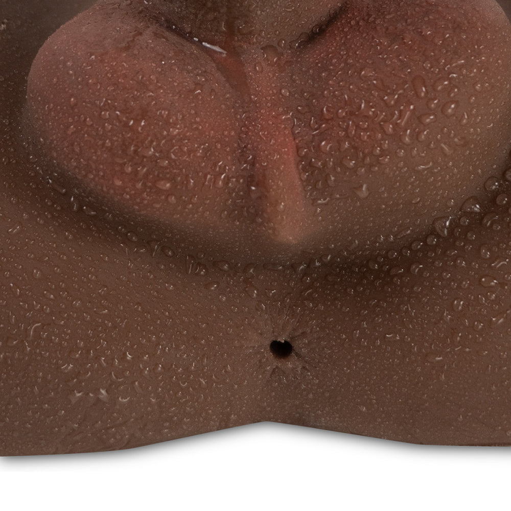 Camtoyz Raw Torso Transexual Rupol Piel Oscura Chocolate showing detailed anatomical features and lifelike craftsmanship.