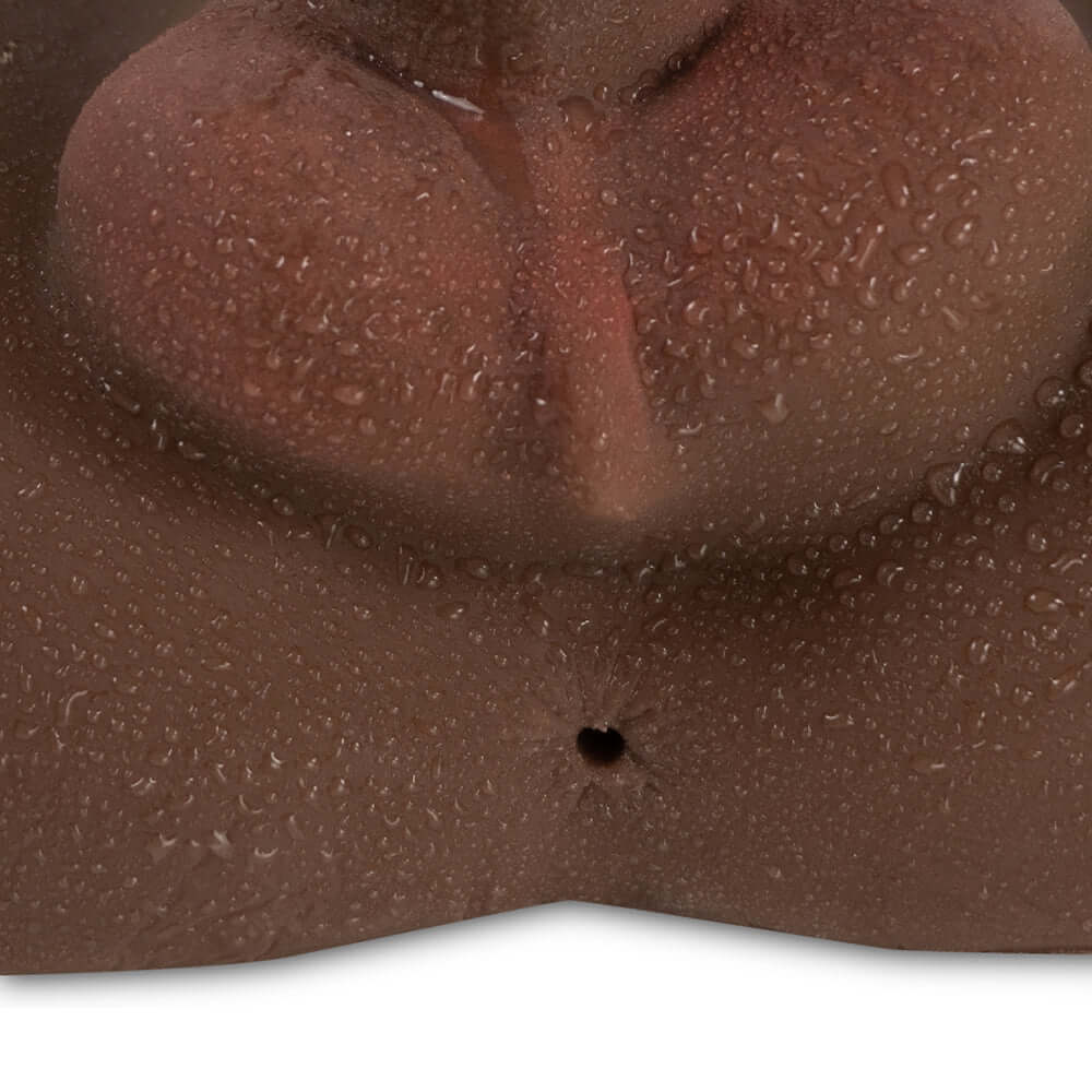 Camtoyz Raw Torso Transexual Rupol Piel Oscura Chocolate showing detailed anatomical features and lifelike craftsmanship.