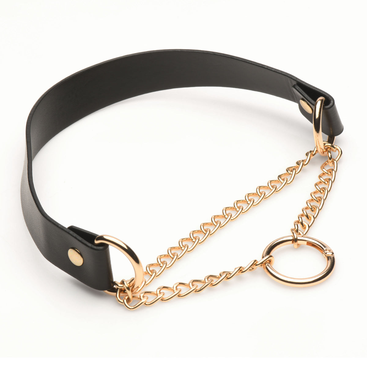 Master Series Halo Desire O-Ring Collar Black featuring a black leather strap and gold curb chains.
