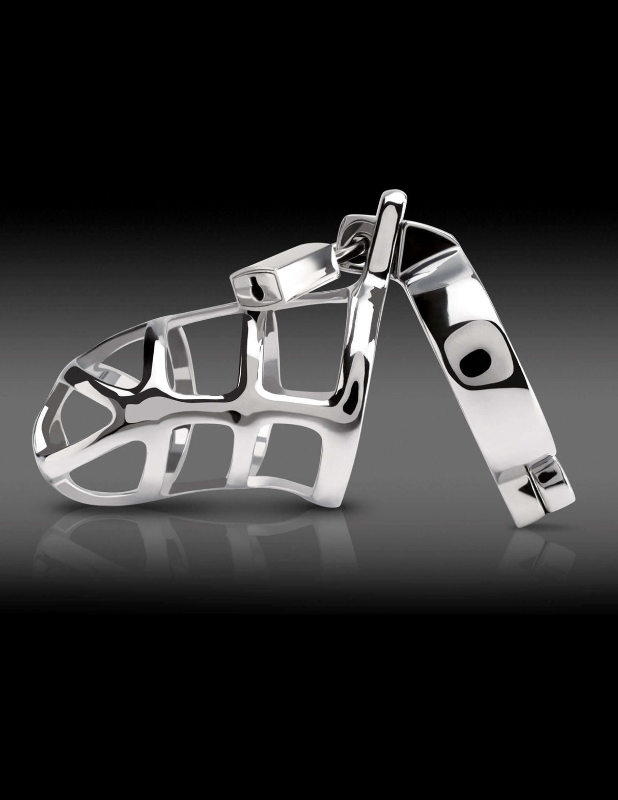 Pipedream Metal Worx Steel Cock Cage showcases premium steel construction with a unique design for pleasure and aesthetics.