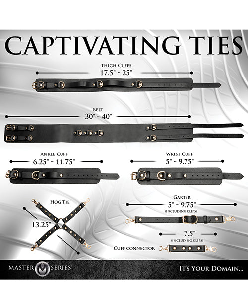 Master Series Tied Temptress Thigh Harness Hog Tie Black product dimensions and specifications infographic