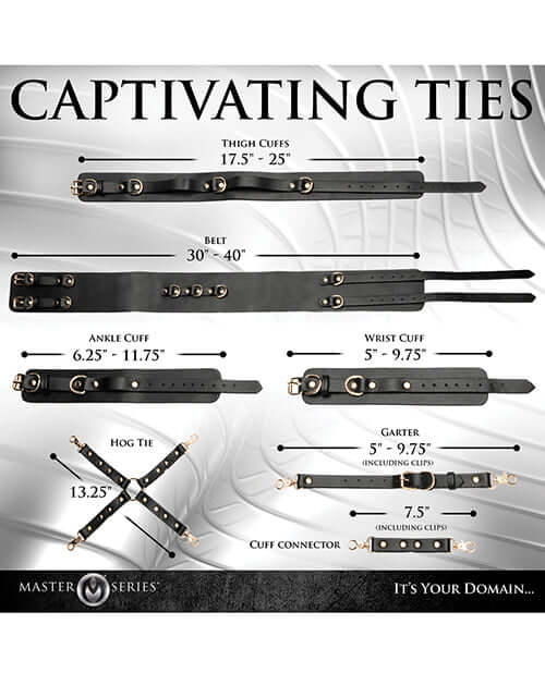 Master Series Tied Temptress Thigh Harness Hog Tie Black product dimensions and specifications infographic