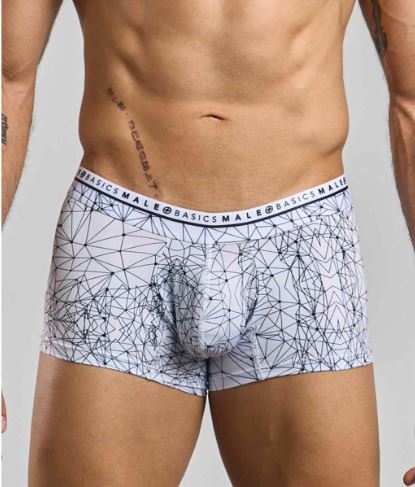 Male Basics Hipster Trunk Spider Medium featuring a geometric print design for comfort and style.