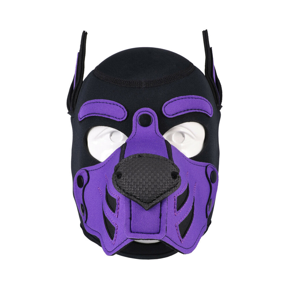 Merci Puppy Hood Neoprene Violet/Black - Image 3