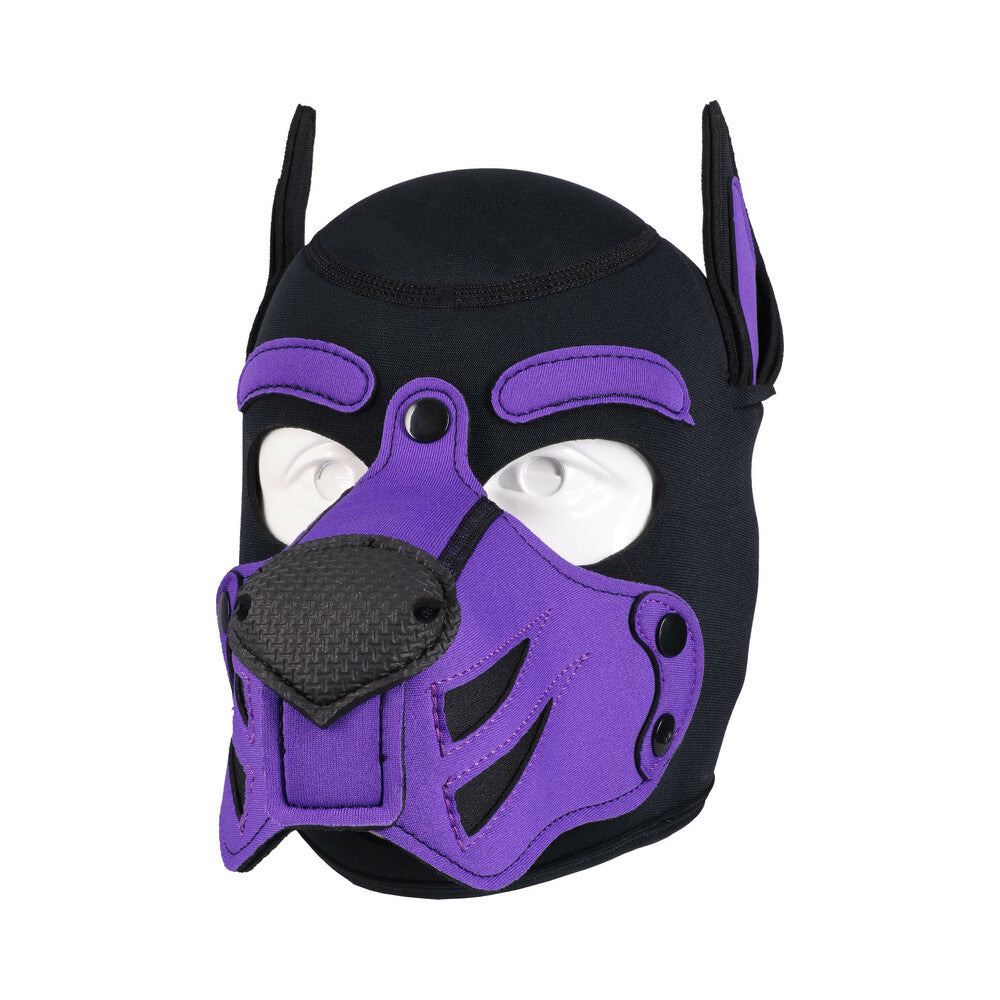 Merci Puppy Hood Neoprene Violet/Black - Image 4