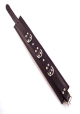 Rouge 3 D-Ring Padded Leather Adjustable Collar Black showcasing premium leather and silver accents.