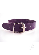 Rouge O Ring Studded Adjustable Leather Collar Purple with silver buckle and holes for size adjustment