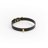 Hustler's Taboo Cara Collar Black, a stylish and elegant leather collar for intimate play and power dynamics.