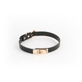 Hustler's Taboo Sadie Collar Black featuring a sleek design and gold accents for a stylish accessory.