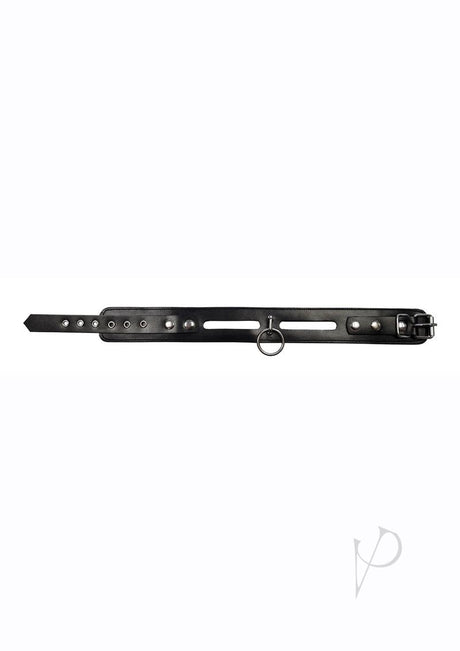 Rouge Leather Fashion Bondage Collar with O-Ring Black, stylish and durable leather collar with metal O-ring.