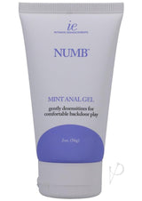 Intimate Enhancements Numb Anal Gel 2 Oz Mint tube for comfortable backdoor play and desensitization.