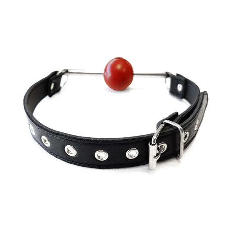 Rouge Leather Ball Gag with Removable Ball & Stainless Steel Rod for restraint and sensory play.
