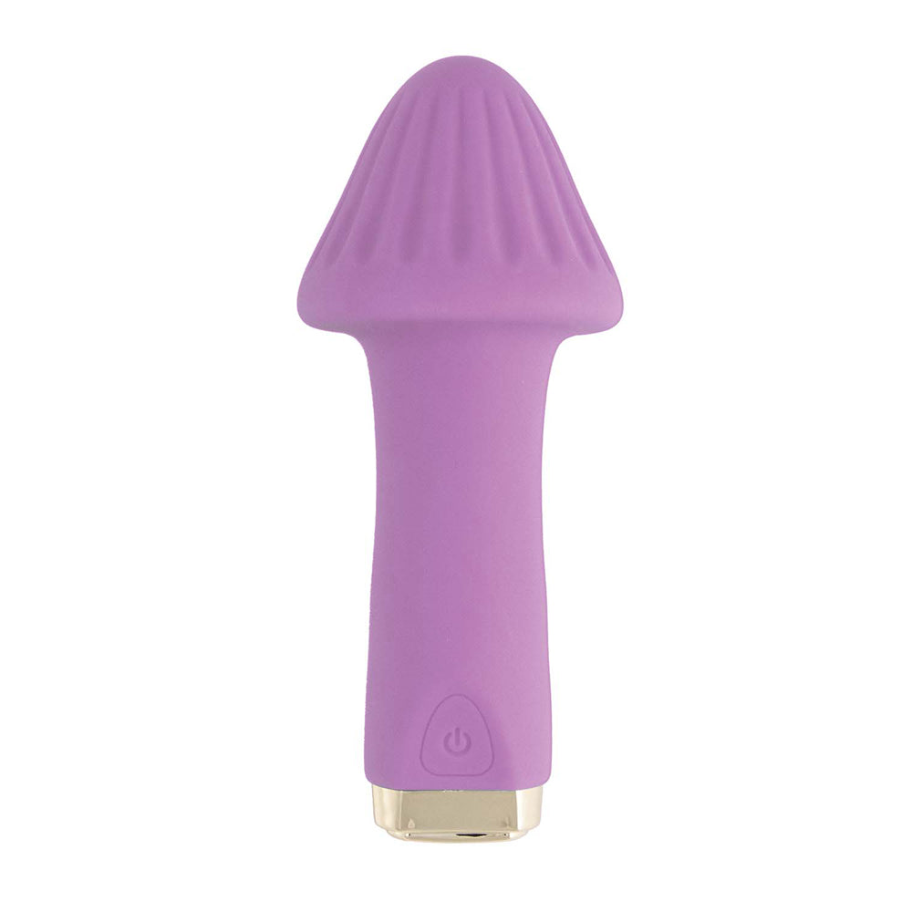 Nasstoys My Secret Shroom Bullet Vibrator Purple in a fun mushroom design with ridged textured head.
