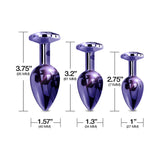 Nixie Metal Butt Plug Trainer Set 3-Piece Purple Metallic