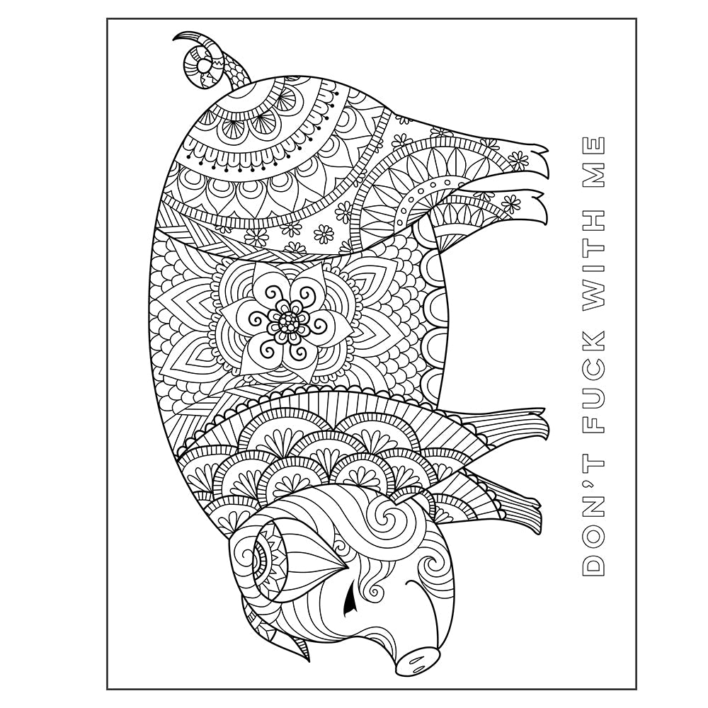 The Swear Word Coloring Book