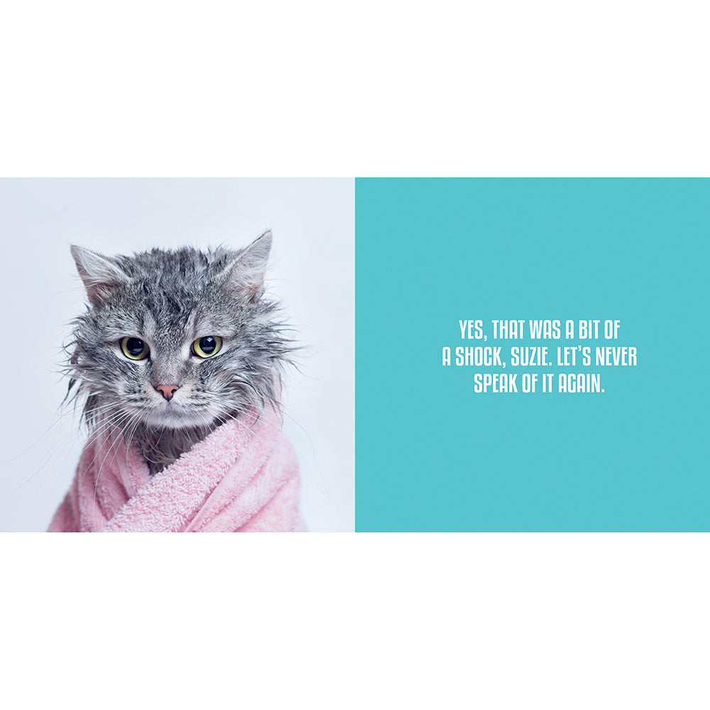 Wet Pussies: Hilarious Snaps of Damp Cats