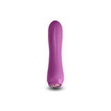 Charms Fern Vibrator Ruby
