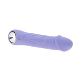 Evolved Purple Fantasy Rechargeable Vibrator Silicone